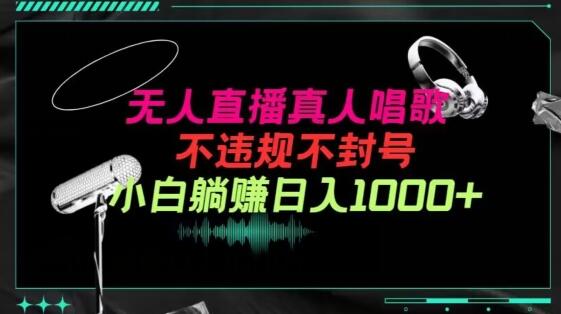 抖音24小时无人直播音乐，不违规，不封号纯撸音浪，小白实操当天日入1000+-墨韵博客