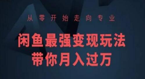 从零开始走向专业，闲鱼最强变现玩法带你月入过万-墨韵博客