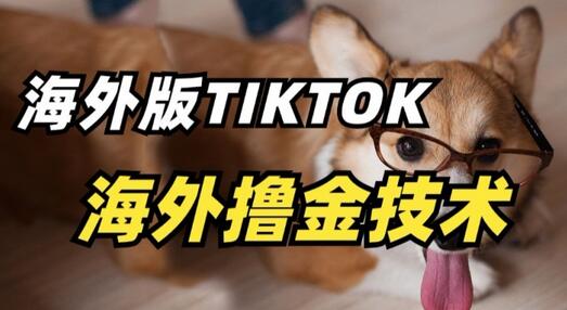 抖音海外版tiktok撸金技术，这个风口行业，赚钱真的不难-墨韵博客