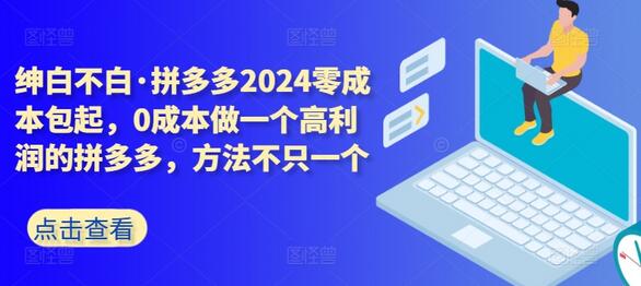 拼多多2024零成本包起，0成本做一个高利润的拼多多，方法不只一个-墨韵博客