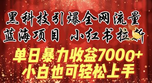 蓝海项目!黑科技引爆全网流量小红书拉新，单日暴力收益7000+，小白也能轻松上手-墨韵博客
