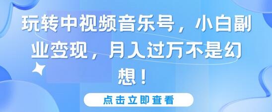 玩转中视频音乐号，小白副业变现，月入过万不是幻想-墨韵博客