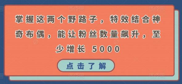 掌握这两个野路子，特效结合神奇布偶，能让粉丝数量飙升，至少增长 5000-墨韵博客
