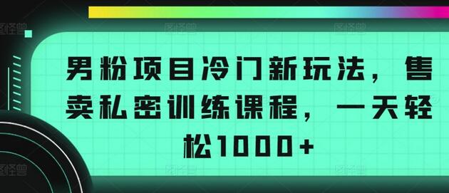 男粉项目冷门新玩法，售卖私密训练课程，一天轻松1000+-墨韵博客