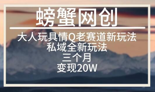 大人玩具情Q用品赛道私域全新玩法，三个月变现20W，老项目新思路-墨韵博客