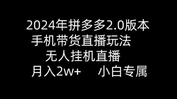 2024年拼多多2.0版本，手机带货直播玩法，无人挂机直播， 月入2w+， 小白专属-墨韵博客