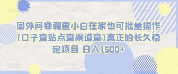 国外问卷调查小白在家也可批量操作(口子查站点查渠道查)真正的长久稳定项目 日入1500+-墨韵博客