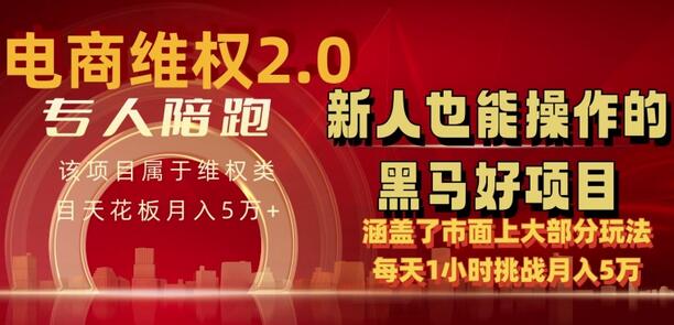 电商维Q4.0 如何做到月入 5 万+每天 1 小时新人也能快速上手-墨韵博客