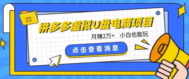拼多多虚拟U盘电商红利项目：月赚2万+，新手小白也能玩-墨韵博客