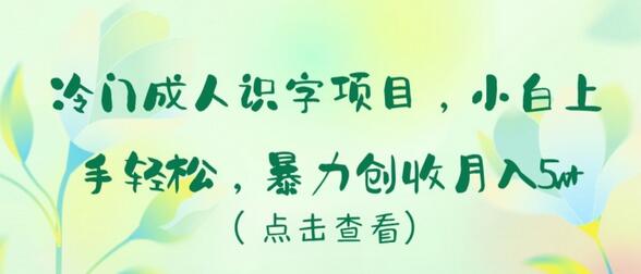 冷门成人识字项目，小白上手轻松，暴力创收月入5w+-墨韵博客