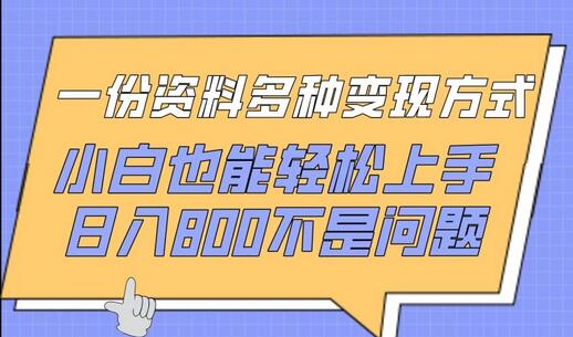 一份资料多种变现方式，小白也能轻松上手，日入800不是问题-墨韵博客