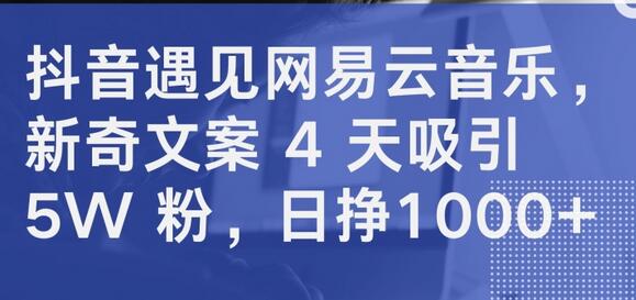 抖音遇见网易云音乐，新奇文案 4 天吸引 5W 粉，日挣1000+-墨韵博客