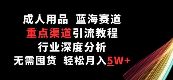 成人用品，蓝海赛道，重点渠道引流教程，行业深度分析，无需囤货，轻松月入5W+-墨韵博客
