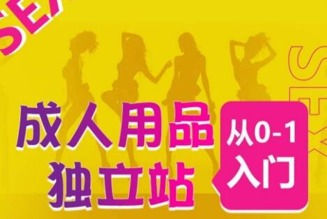 成人用品独立站从0-1入门，成品独立站运营全流程教学，七大好卖成品独立站推荐-墨韵博客