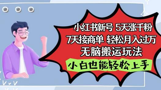 小红书影视泥巴追剧5天涨千粉，7天接商单，轻松月入过万，无脑搬运玩法-墨韵博客