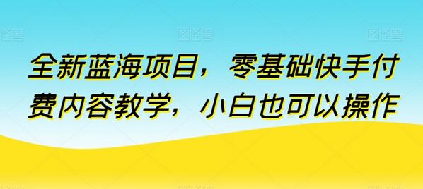 全新蓝海项目，零基础快手付费内容教学，小白也可以操作-墨韵博客