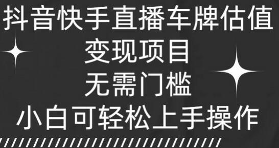 抖音快手直播车牌估值变现项目，无需门槛，小白可轻松上手操作-墨韵博客