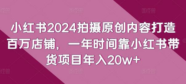 小红书2024拍摄原创内容打造百万店铺，一年时间靠小红书带货项目年入20w+-墨韵博客