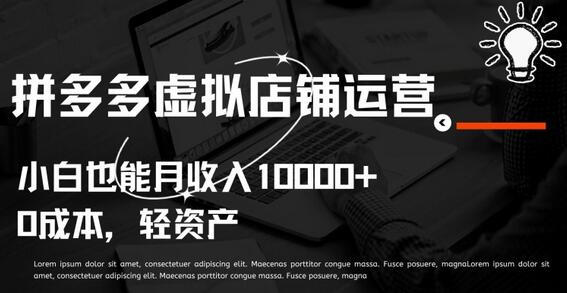 拼多多虚拟店铺运营小白也能月收入10000+-墨韵博客