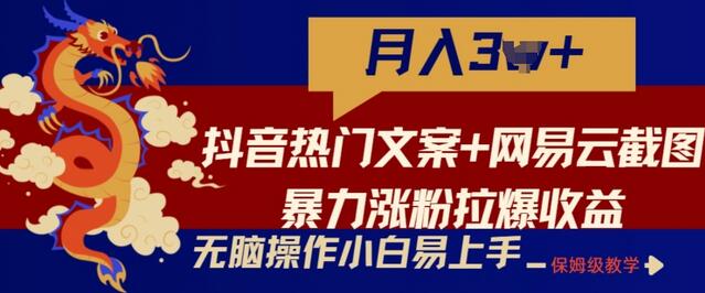 抖音热门文案+网易云截图暴力涨粉拉爆收益玩法，小白无脑操作，简单易上手-墨韵博客