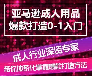 亚马逊成人用品爆款打造0-1入门，系统化讲解亚马逊成人用品爆款打造的流程-墨韵博客