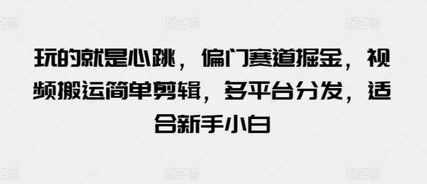 玩的就是心跳，偏门赛道掘金，视频搬运简单剪辑，多平台分发，适合新手小白-墨韵博客