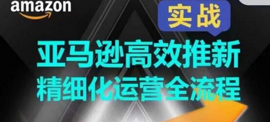 亚马逊高效推新精细化运营全流程，全方位、快速拉升产品排名和销量!-墨韵博客