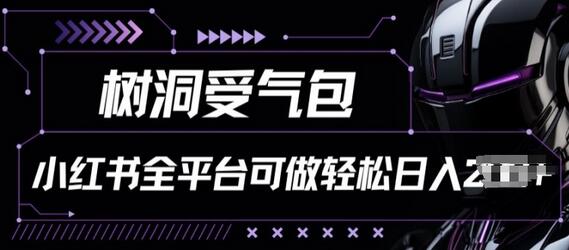 小红书等全平台树洞受气包项目，轻松日入一两张-墨韵博客