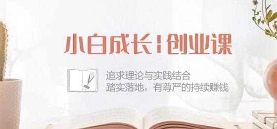 小白成长创业课：追求理论与实践结合，踏实落地，有尊严的持续赚钱-42节-墨韵博客
