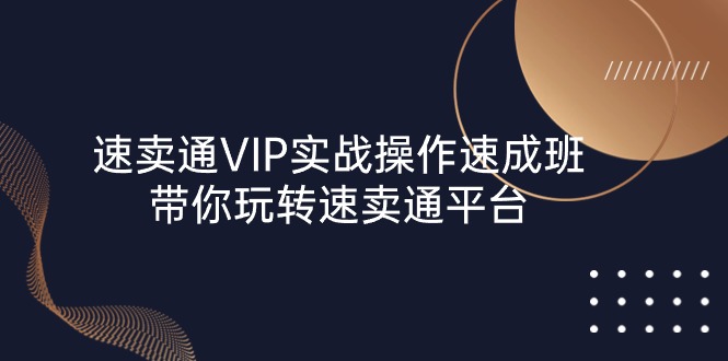 （10935期）速卖通 VIP实战操作-速成班，带你玩转速卖通平台（23节）-墨韵博客