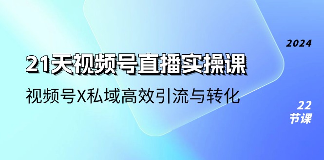 （10966期）21天-视频号直播实操课，视频号X私域高效引流与转化（22节课）-墨韵博客