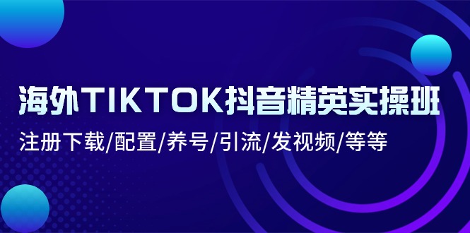 （10998期）海外TIKTOK抖音精英实操班：注册下载/配置/养号/引流/发视频/等等-墨韵博客