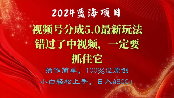 （11032期）2024蓝海项目，视频号分成计划5.0最新玩法，错过了中视频，一定要抓住…-墨韵博客