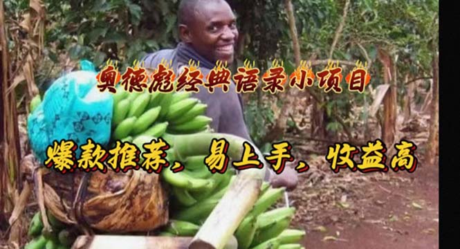 （11030期）奥德彪经典语录小项目，爆款推荐，易上手，收益高-墨韵博客