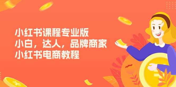 （11022期）小红书课程专业版，小白，达人，品牌商家，小红书电商教程（15节）-墨韵博客