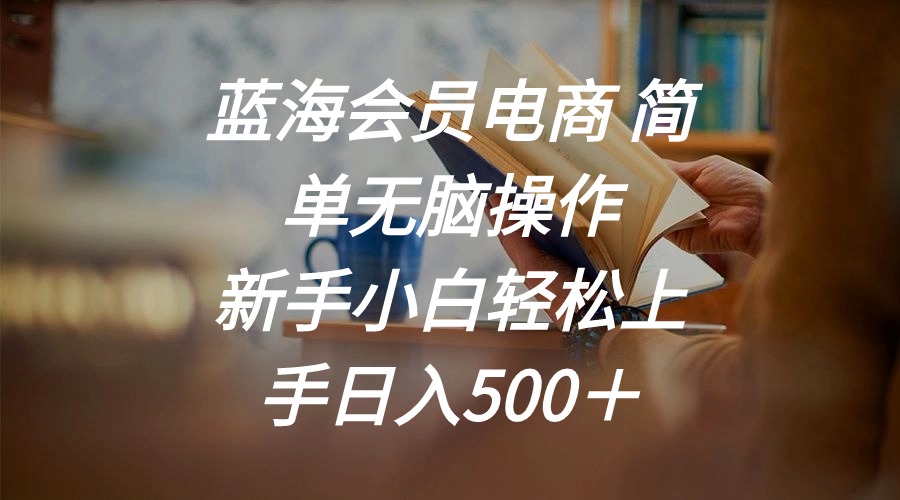 （11068期）蓝海会员电商 简单无脑操作 新手小白轻松上手日入500＋-墨韵博客