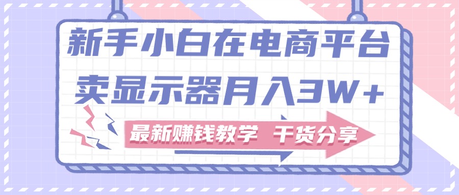 （11053期）新手小白如何做到在电商平台卖显示器月入3W+，最新赚钱教学干货分享-墨韵博客