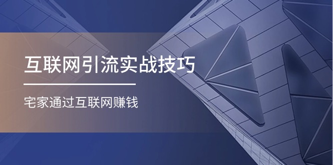 （11108期）互联网引流实操技巧(适合微商，吸引宝妈)，宅家通过互联网赚钱（17节）-墨韵博客
