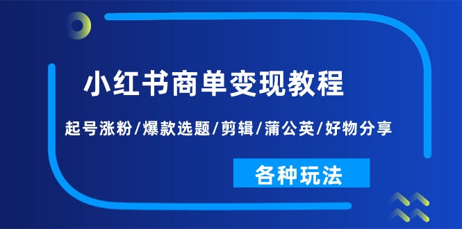 （11164期）小红书商单变现教程：起号涨粉/爆款选题/剪辑/蒲公英/好物分享/各种玩法-墨韵博客