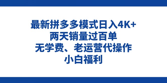 （11189期）拼多多最新模式日入4K+两天销量过百单，无学费、老运营代操作、小白福利-墨韵博客