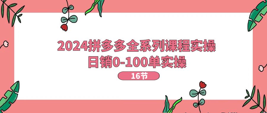 （11222期）2024拼多多全系列课程实操，日销0-100单实操【16节课】-墨韵博客