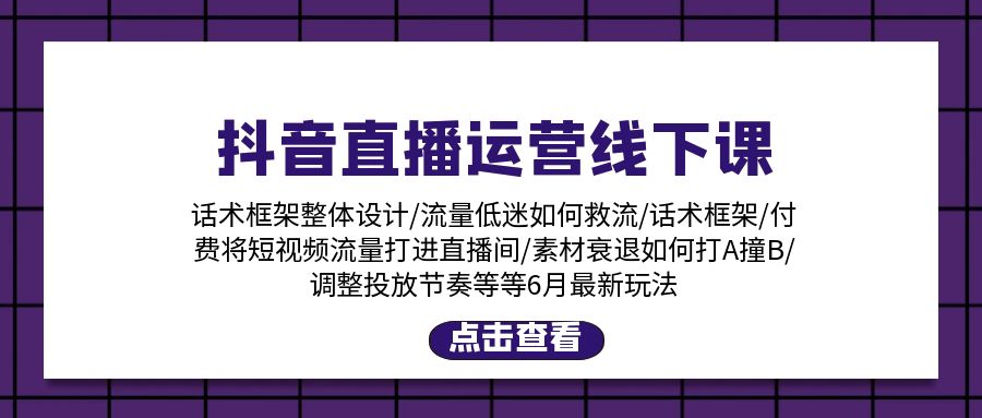 （11211期）抖音直播运营线下课：话术框架/付费流量直播间/素材A撞B/等6月新玩法-墨韵博客