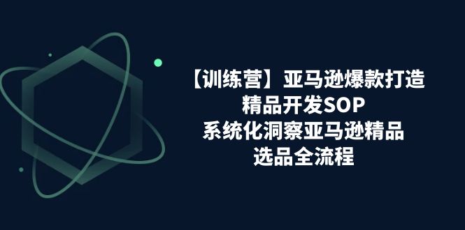 （11210期）【训练营】亚马逊爆款打造之精品开发SOP，系统化洞察亚马逊精品选品全流程-墨韵博客