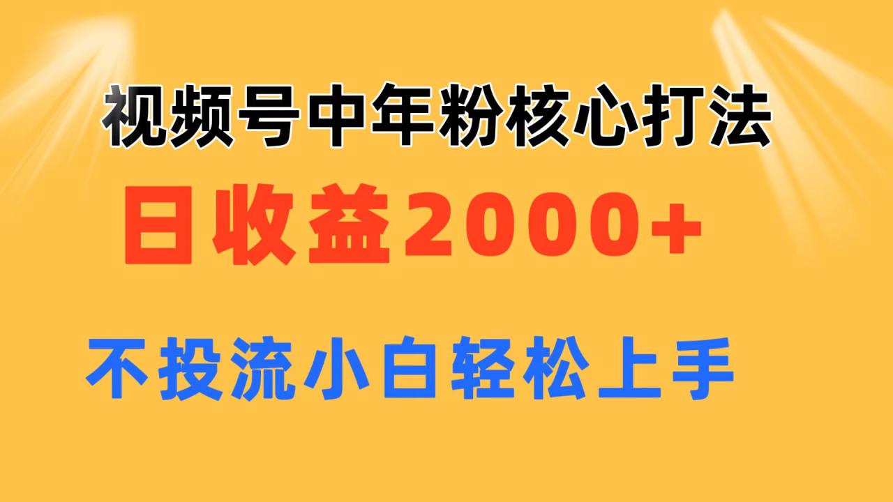 （11205期）视频号中年粉核心玩法 日收益2000+ 不投流小白轻松上手-墨韵博客