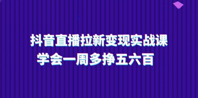 （11254期）抖音直播拉新变现实操课，学会一周多挣五六百（15节课）-墨韵博客