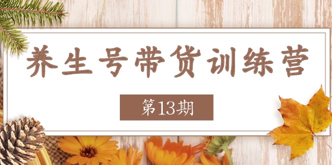 （11275期）养生号-带货训练营【第13期】收益更稳定的玩法，让你带货收益爆炸-墨韵博客
