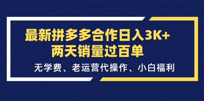 （11291期）最新拼多多合作日入3K+两天销量过百单，无学费、老运营代操作、小白福利-墨韵博客