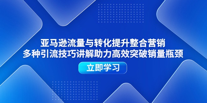 （11335期）亚马逊流量与转化提升整合营销，多种引流技巧讲解助力高效突破销量瓶颈-墨韵博客