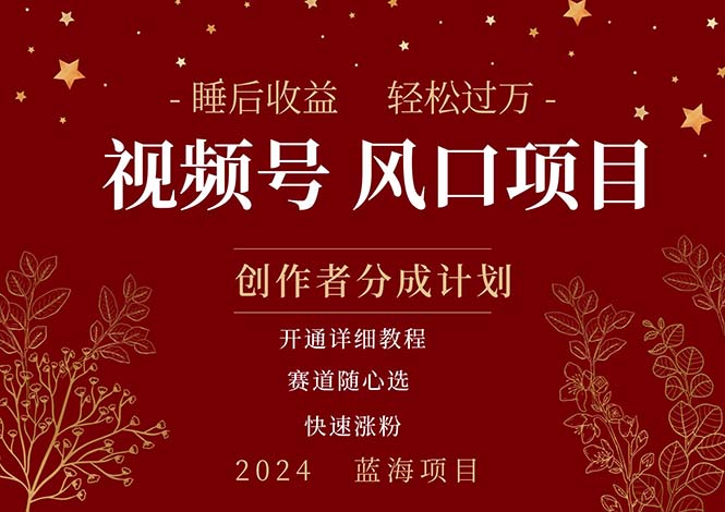 （11331期）拥有睡眠收益的微信视频号大风口项目，轻松月入过万+，多赛道选择，可…-墨韵博客