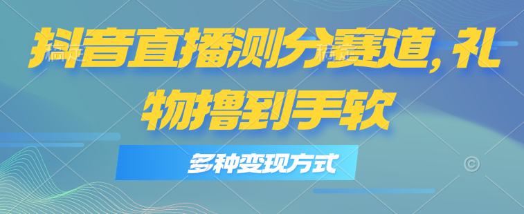 （11380期）抖音直播测分赛道，多种变现方式，轻松日入1000+-墨韵博客